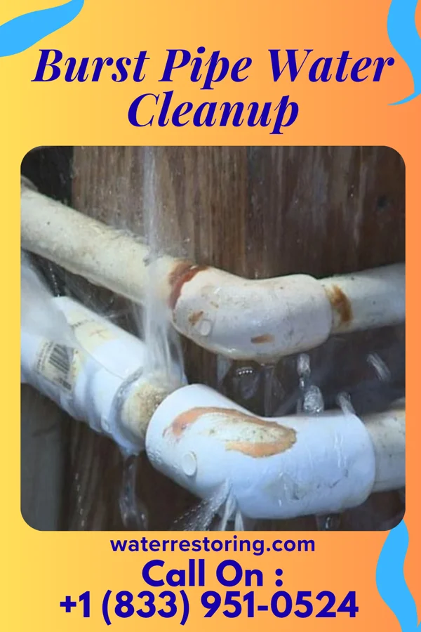 Burst Pipe Water Cleanup in Bright, IN