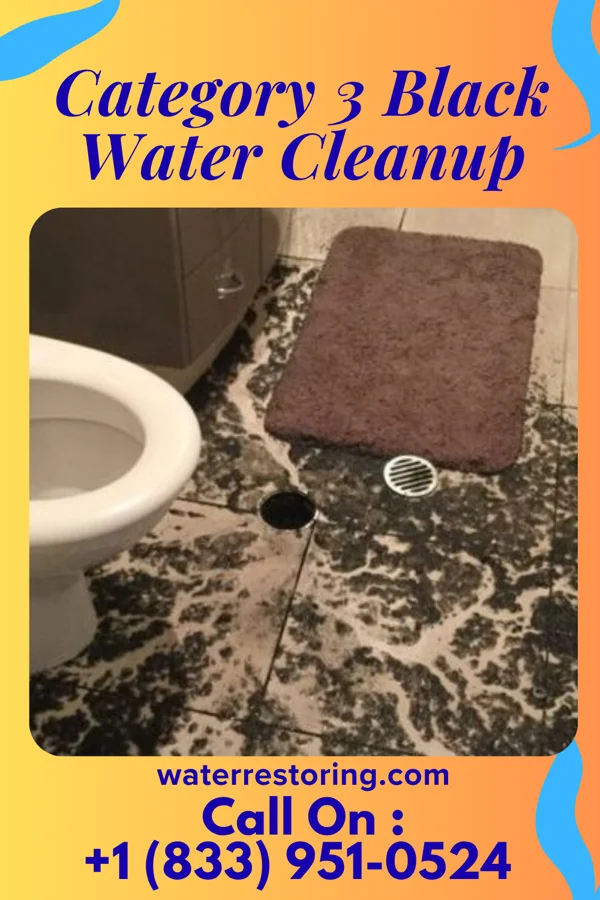 Category 3 Black Water Cleanup in Bright, IN