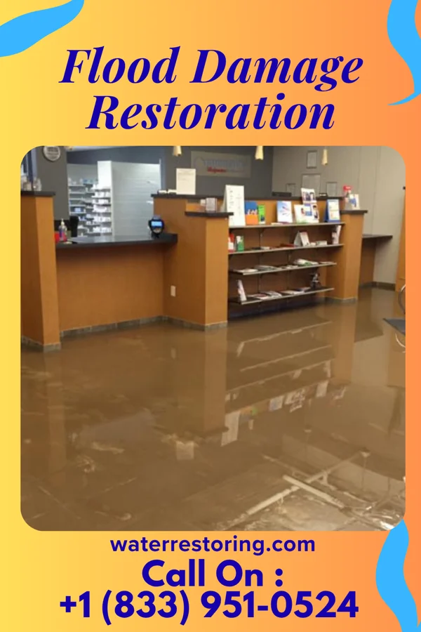 Flood Damage Restoration in Bright, IN