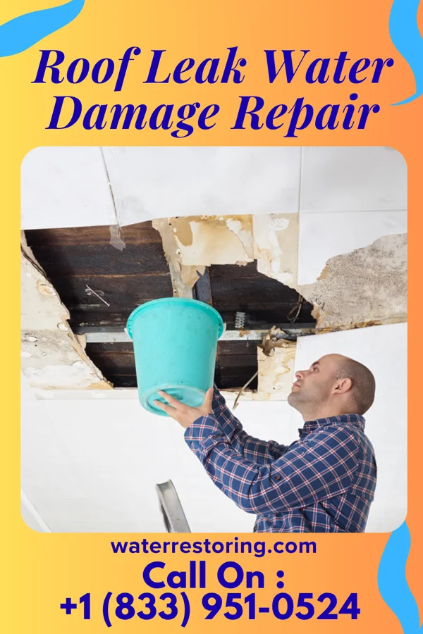 Roof Leak Water Damage Repair in Bright, IN